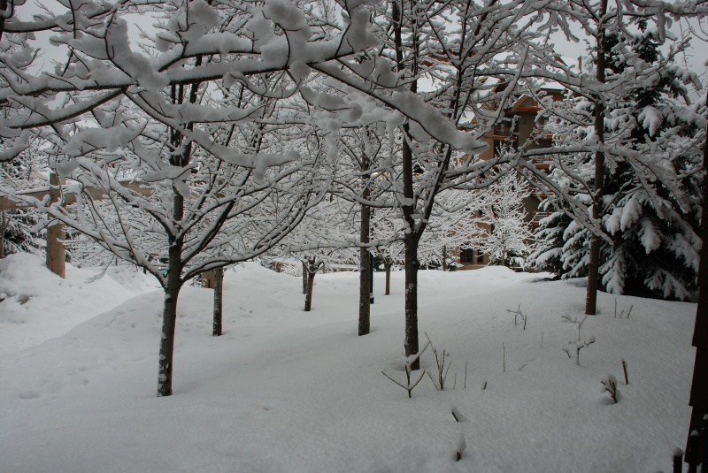 2009/03(Mar)/WHISTLER WITH MUSSATTOS/800x600_2009-03-WHISTLER WITH MUSSATTOS 11.jpg